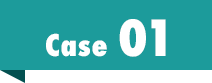ケース1