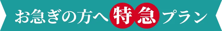 お急ぎの方へ特急プラン